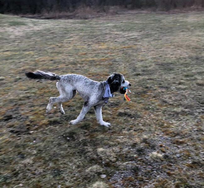 Bonnie's 1st Brithday